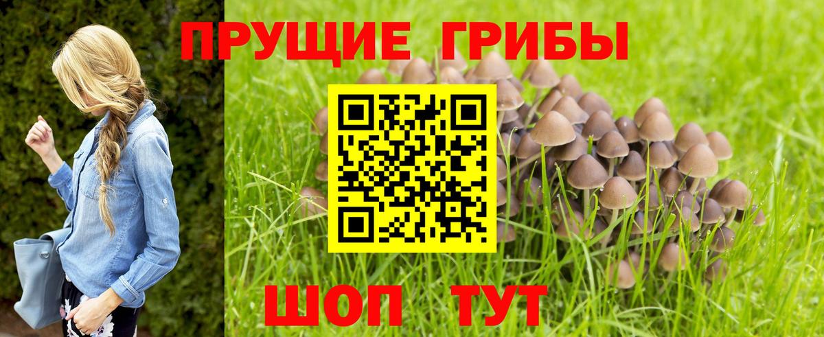 Галлюциногенные грибы GOLDEN TEACHER Семилуки